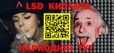 индика Кандалакша