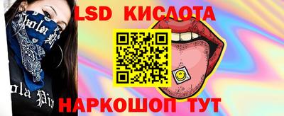 индика Кандалакша