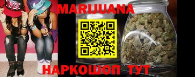 индика Кандалакша