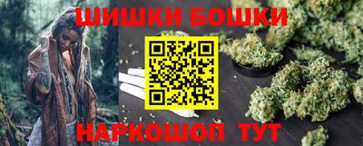 индика Кандалакша