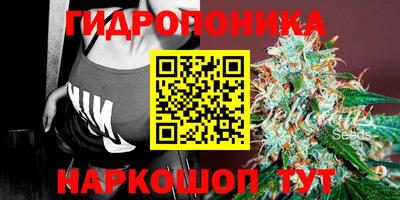 мдма Камышлов