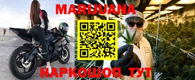 индика Кандалакша