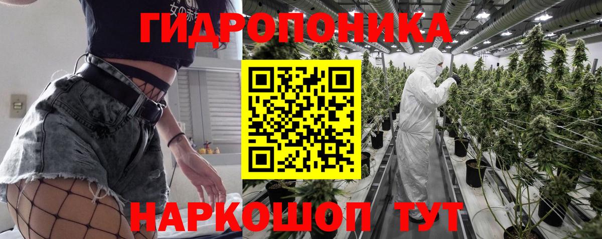 Шишки марихуана план Лесозаводск